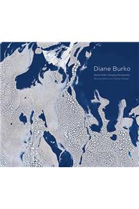 Diane Burko: Bearing Witness to Climate Change