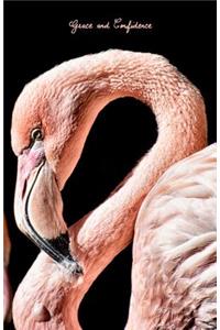 Grace and Confidence