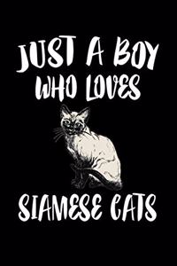 Just A Boy Who Loves Siamese Cats: Animal Nature Collection