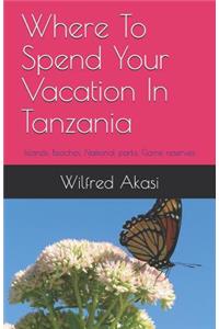 Where To Spend Your Vacation In Tanzania