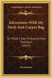 Adventures with My Stick and Carpet Bag