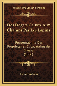 Des Degats Causes Aux Champs Par Les Lapins