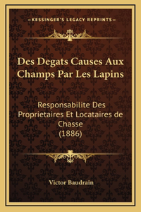 Des Degats Causes Aux Champs Par Les Lapins