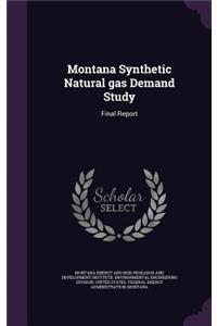 Montana Synthetic Natural Gas Demand Study