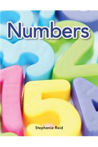 Numbers Lap Book