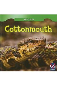 Cottonmouth