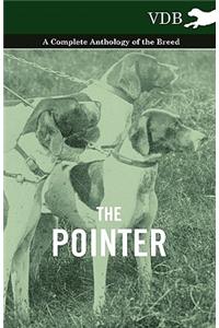 The Pointer - A Complete Anthology of the Breed