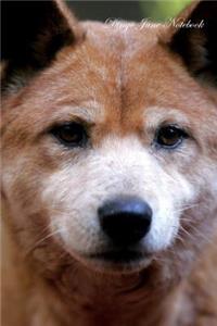 Dingo June Notebook Dingo Record, Log, Diary, Special Memories, To Do List, Academic Notepad, Scrapbook & More