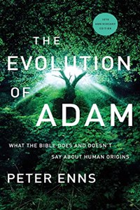 The Evolution of Adam