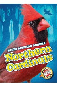 Northern Cardinals