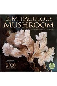 Miraculous Mushroom 2020 Wall Calendar