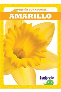 Amarillo (Yellow)