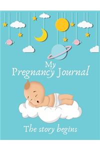 My pregnancy journal the story begins
