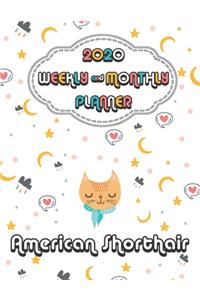 2020 American Shorthair Cat Planner