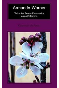 Todos los Perros Extraviados están Enfermos