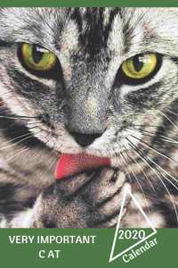 Very Important Cat