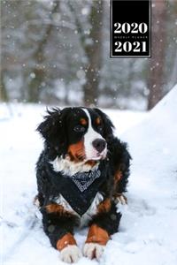 Bernese Mountain Dog Calendar Week Planner 2020 / 2021 - Relax in Snow