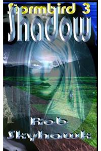 Shadow: Stormbird 3