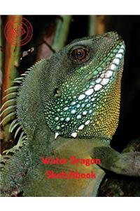 Water Dragon Sketchbook: Blank Paper for Drawing, Doodling or Sketching 120 Large Blank Pages (8.5"x11") for Sketching, inspiring, Drawing Anything Kids Love to do and to Im