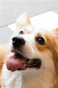 Corgi Dot Grid Journal