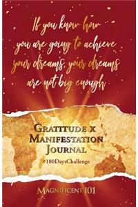 Gratitude X Manifestation Journal #180dayschallenge by Magnificent101