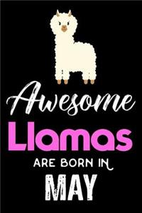 Awesome Llamas Are Born in May