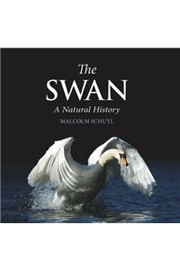 The Swan