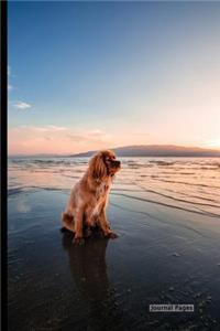 Journal Pages - Beach Dog (Bullet Journal): 6 X 9, Dotted Grid, Dot Matrix Bullet Journal Notebook-Essential for Notes, Sketches & Writing - 100 Pages (Durable Cover)