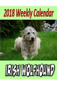 2018 Weekly Calendar Irish Wolfhound