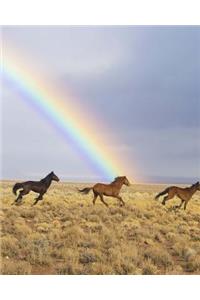 Daily Organizer and Planner