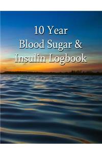10 Year Blood Glucose & Insulin Logbook - Diabetes