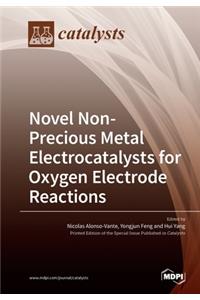 Novel Non-Precious Metal Electrocatalysts for Oxygen Electrode Reactions