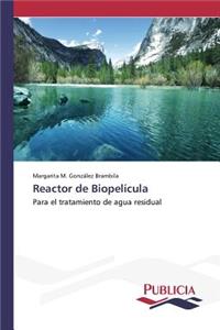 Reactor de Biopelícula