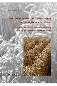 Weitreihenanbau Von Winterweizen Im Okologischen Landbau