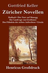 Züricher Novellen (Großdruck)