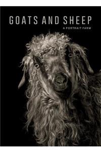 Goats and Sheep. a Portrait Farm