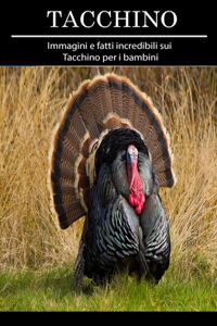Tacchino
