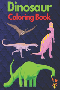 Dinosaur Coloring Book