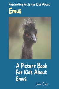 A Picture Book for Kids About Emus