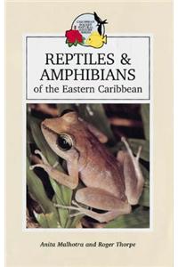 Reptiles and Amphibians of the Eastern Caribbean