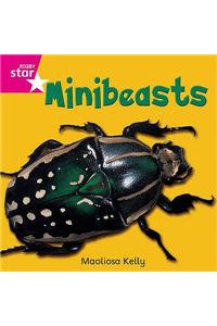 Rigby Star Independent Pink Reader 2 Minibeasts