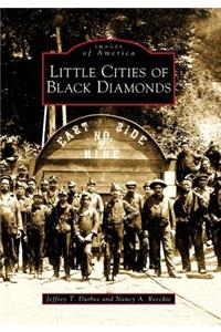 Little Cities of Black Diamonds