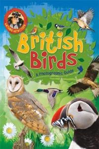 Nature Detective: British Birds