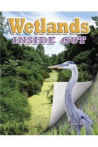 Wetlands Inside Out