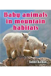 Baby Animals in Mountain Habitats