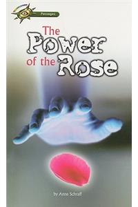 Power of the Rose