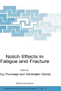 Notch Effects in Fatigue and Fracture