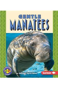 Gentle Manatees