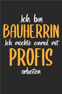 Ich Bin Bauherrin Ich Möchte Einmal Mit Profis Arbeiten