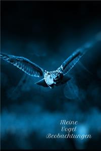 Meine Vogel Beobachtungen